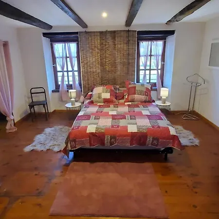 La Camisse Cadix