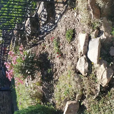 Holiday home La Camisse *